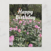 Tuin van roze Roses Birthday Wishes Briefkaart (Voorkant)