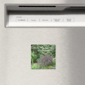 Tuin van Schoonheid Magneet (Insitu (Vaatwasser))