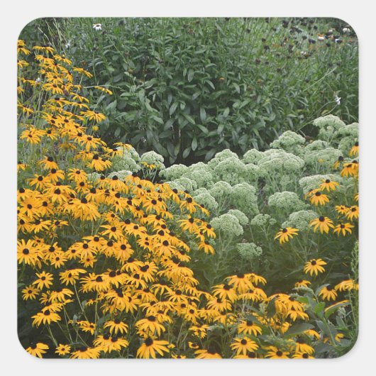 Tuin van Sticker met zwarte ogen (Voorkant)