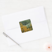 Tuin van Sticker met zwarte ogen (Envelop)