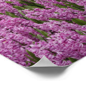tuin van tulpen, daffodils en hyacinth poster (Hoek)