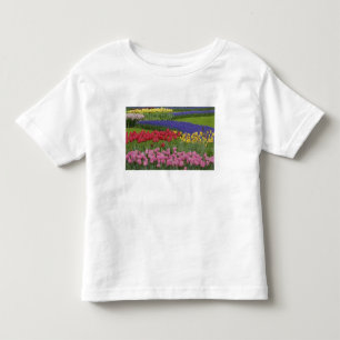 Tuin van tulpen, druifhyacint en kinder shirts