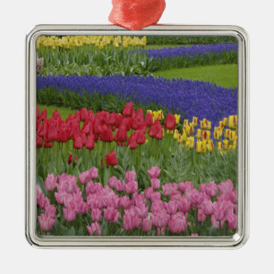 Tuin van tulpen, druifhyacint en metalen ornament