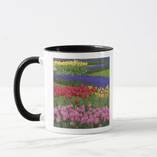 Tuin van tulpen, druifhyacint en mok (Links)