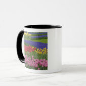 Tuin van tulpen, druifhyacint en mok (Voorkant links)