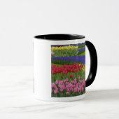 Tuin van tulpen, druifhyacint en mok (Voorkant rechts)