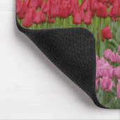 Tuin van tulpen, druifhyacint en muismat (Hoek)