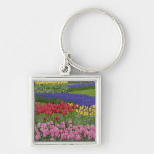 Tuin van tulpen, druifhyacint en sleutelhanger