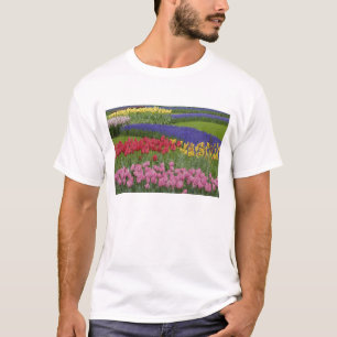 Tuin van tulpen, druifhyacint en t-shirt