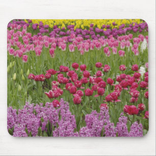 Tuin van tulpen, narcissen en hyacint muismat