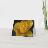 Tuin van vrienden blanco notitiekaarten diversitei (Voorkant)