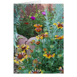 TUIN VARIËTEIT