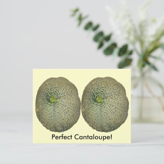 Tuin verse cantaloupe briefkaart (Staand voorkant)