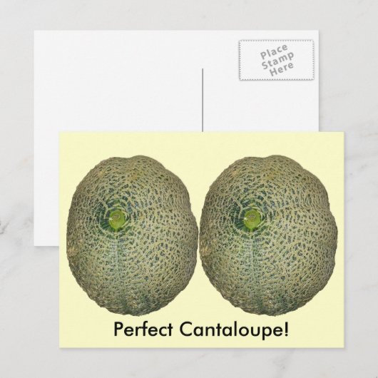 Tuin verse cantaloupe briefkaart (Voorkant / Achterkant)
