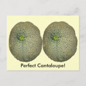 Tuin verse cantaloupe briefkaart (Voorkant)