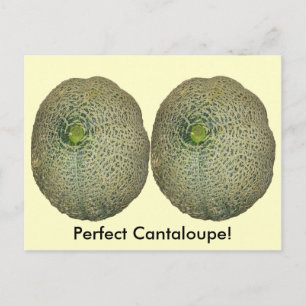 Tuin verse cantaloupe briefkaart