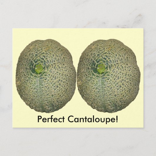 Tuin verse cantaloupe briefkaart (Voorkant)