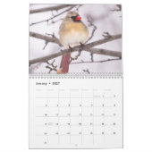 Tuin Vogels Foto's & Kunst Kalender (Jan 2027)