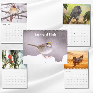 Tuin Vogels Foto's & Kunst Kalender