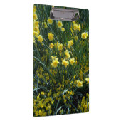 Tuin vol met gele maffia's klembord (Rechts)