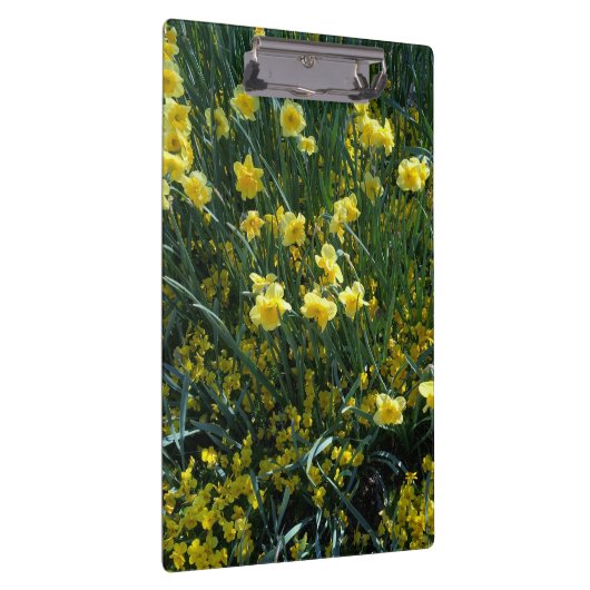 Tuin vol met gele maffia's klembord (Rechts)