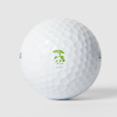 Tuin voor de waterverf van de konijnenbaars golfballen (Voorkant)