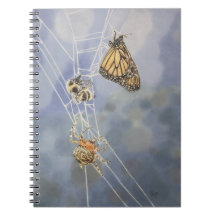 Tuin Web