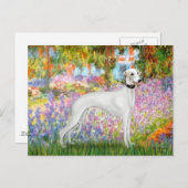 Tuin - Whippet 11b Briefkaart (Voorkant / Achterkant)