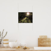 Tuin Zonneschijn Print (Keuken)