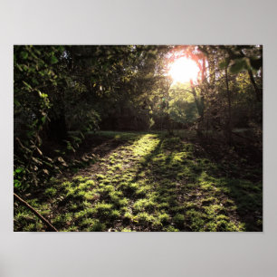 Tuin Zonneschijn Print