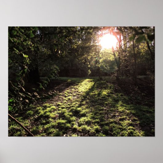 Tuin Zonneschijn Print (Voorkant)