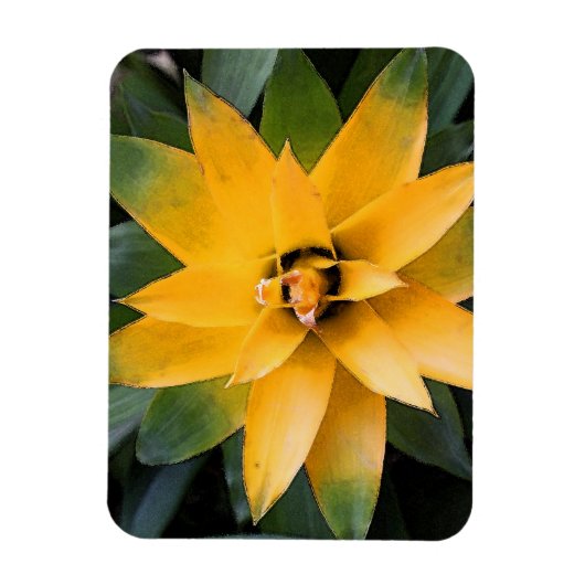 Tuinblad, plant gele bladeren, magneet (Verticaal)