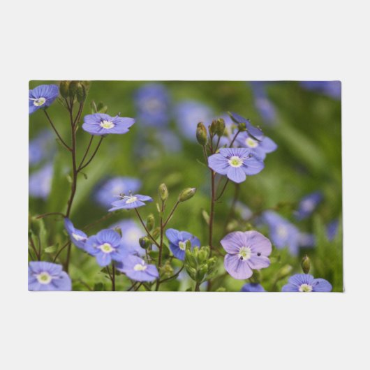 Tuinbloem bloeit deurmat (Voorkant)