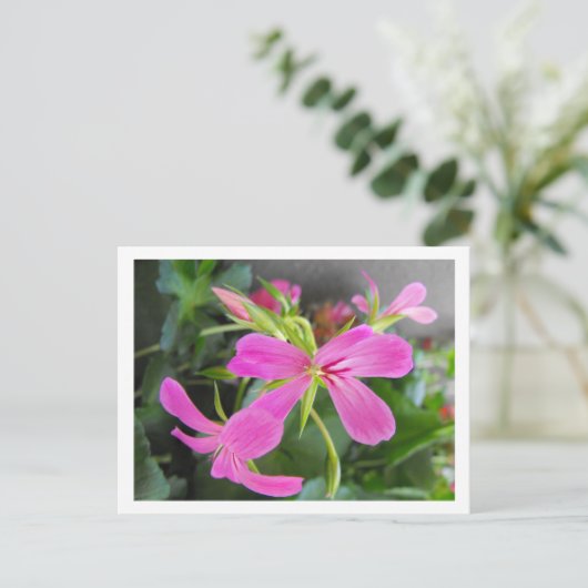 tuinbloem, roze briefkaart (Staand voorkant)