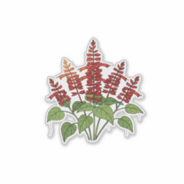 Tuinbloem - scharlaken salie sticker