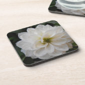 tuinbloem - witte dahlia . bloemfotografie bier onderzetter (Linkerzijde)