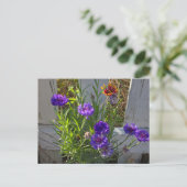 Tuinbloemen Briefkaart (Staand voorkant)