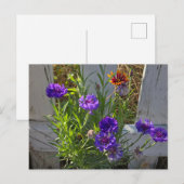Tuinbloemen Briefkaart (Voorkant / Achterkant)