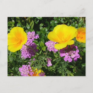 Tuinbloemen, gele en paarse bloemen briefkaart