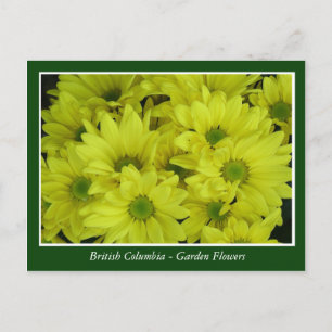 Tuinbloemen in BC Briefkaart