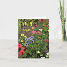 Tuinbloemen in bloei