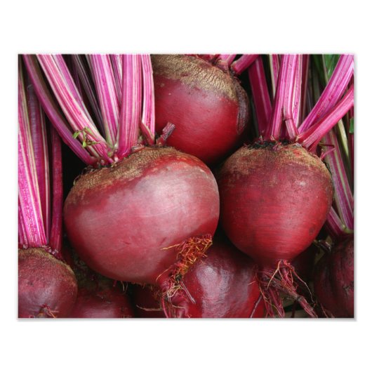 Tuinbouwbundel, vers foto afdruk (Voorkant)