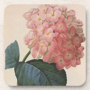  tuinbouwers, roze hydrangea Hortensia Bier Onderzetter