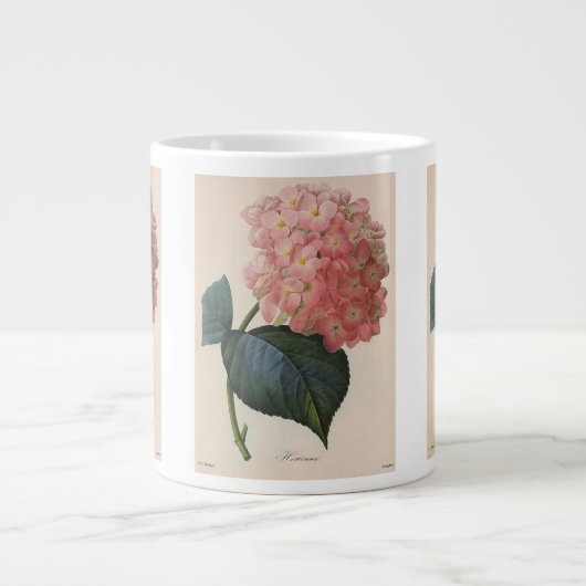  tuinbouwers, roze hydrangea Hortensia Grote Koffiekop (Voorkant)