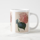  tuinbouwers, roze hydrangea Hortensia Grote Koffiekop (Rechts)