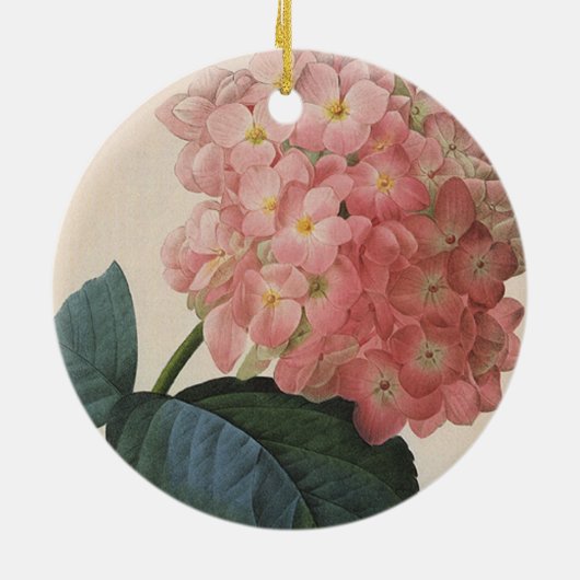 tuinbouwers, roze hydrangea Hortensia Keramisch Ornament (Achterkant)
