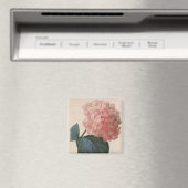  tuinbouwers, roze hydrangea Hortensia Magneet (Insitu (Vaatwasser))