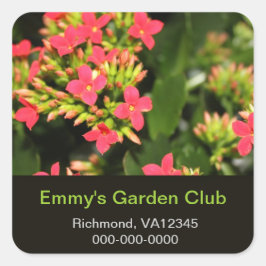 Tuinclub sticker, rode tuinbloemen vierkante sticker