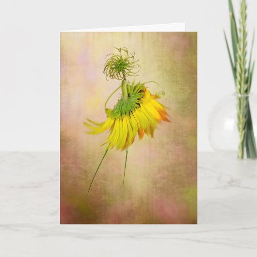 tuindanseres kaart (Voorkant)