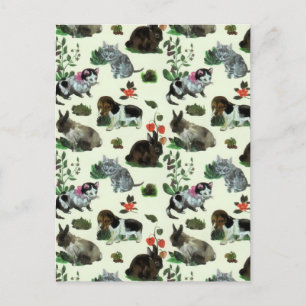 Tuindieren Rabbit Cat Dog Flowers Feestdagenkaart